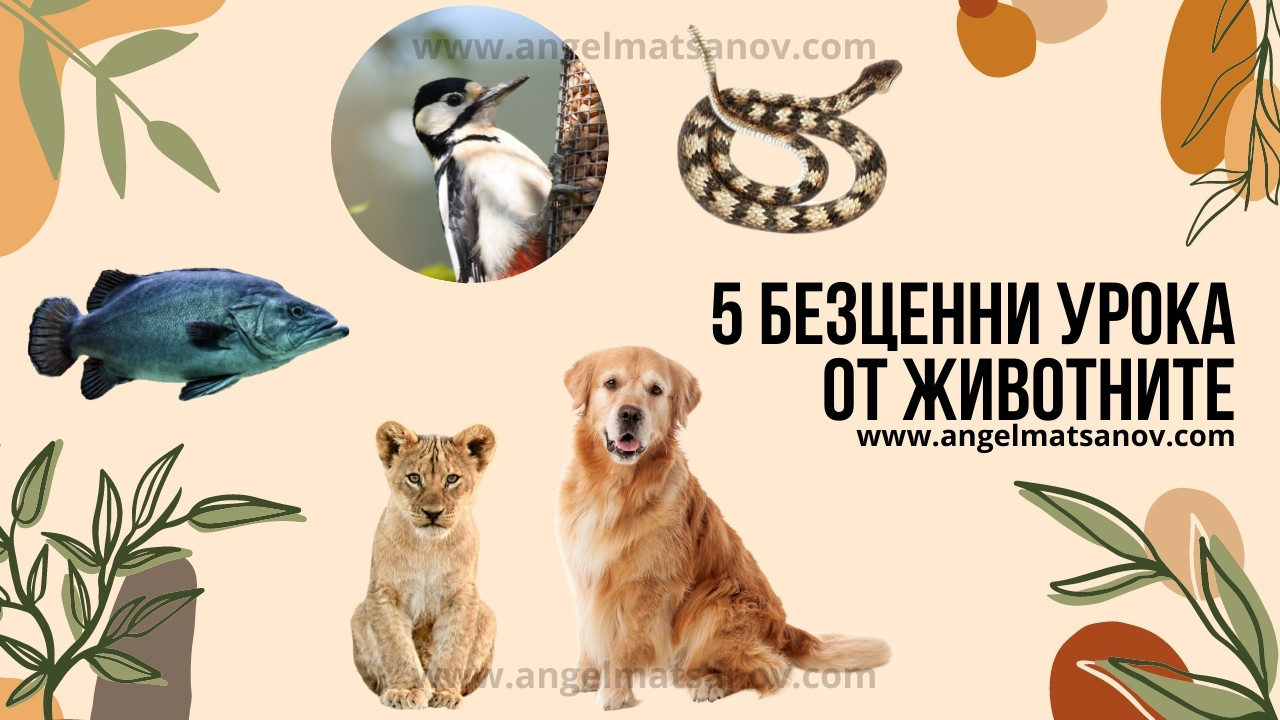 5 безценни урока от животните
